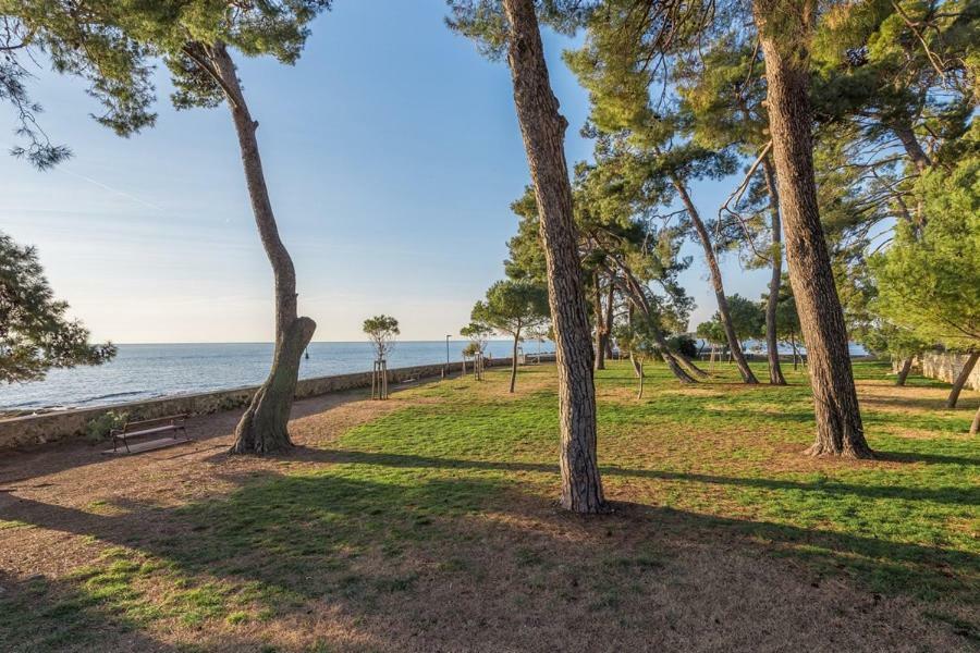 Apartment Hannah Novigrad Istria Exterior foto